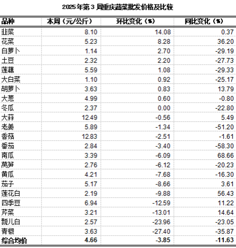 重庆商贸行业的最新动态洞察
